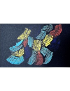 Epreuve en couleur sur papier de Hans Hartung