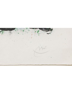 Ma De Proverbis. 1970. Lithographie en couleur sur papier japon nacré.