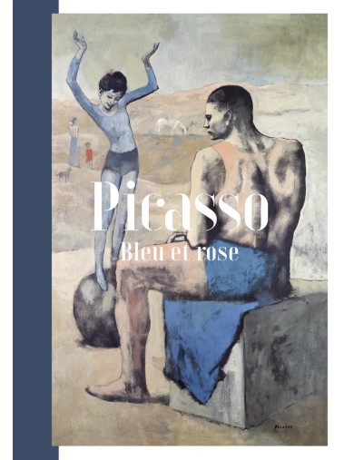 Livre Picasso Bleu et rose
