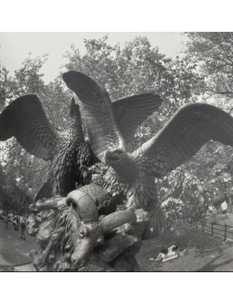 Superbe 5 livres photographies série Black & White de Bruce Davidson. Göttingen, Steidl, 2012.