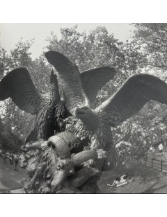 Superbe 5 livres photographies série Black & White de Bruce Davidson. Göttingen, Steidl, 2012.