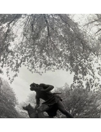 Superbe 5 livres photographies série Black & White de Bruce Davidson. Göttingen, Steidl, 2012.