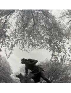 Superbe 5 livres photographies série Black & White de Bruce Davidson. Göttingen, Steidl, 2012.