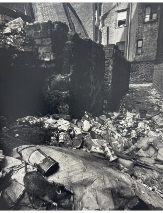 Superbe 5 livres photographies série Black & White de Bruce Davidson. Göttingen, Steidl, 2012.
