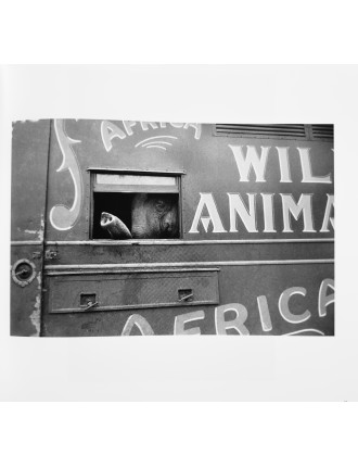 Superbe 5 livres photographies série Black & White de Bruce Davidson. Göttingen, Steidl, 2012.