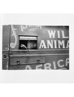 Superbe 5 livres photographies série Black & White de Bruce Davidson. Göttingen, Steidl, 2012.