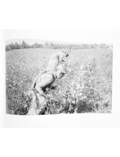 Superbe 5 livres photographies série Black & White de Bruce Davidson. Göttingen, Steidl, 2012.