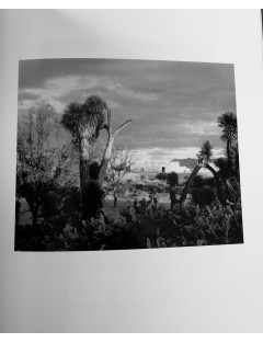 Livre de Henri Cartier-Bresson & Paul Strand - Mexique 1932-1934