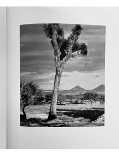 Livre de Henri Cartier-Bresson & Paul Strand - Mexique 1932-1934