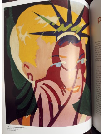 Livre Alain Jacquet. Camouflages 1961-1964. Editeur Cercle d'Art. 2002