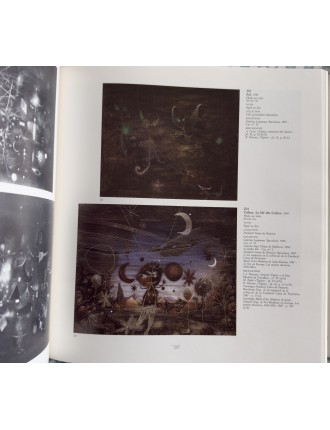 Livre. Anna Agusti. Antoni Tàpies. Complete Works vol. I & II [1943-1968]. 1989 CATALOGUE RAISONNÉ