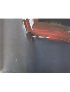 Livre Arthur Grosemans de Serge Goyens de Heusch. 1995