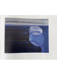 Livre Arthur Grosemans de Serge Goyens de Heusch. 1995