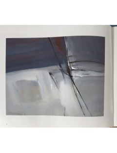 Livre Arthur Grosemans de Serge Goyens de Heusch. 1995