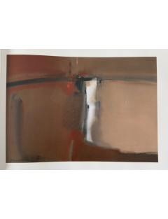 Livre Arthur Grosemans de Serge Goyens de Heusch. 1995