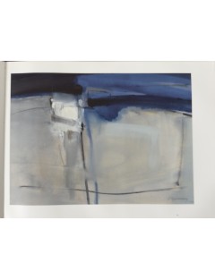 Livre Arthur Grosemans de Serge Goyens de Heusch. 1995