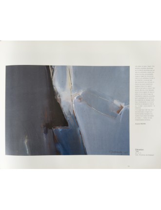 Livre Arthur Grosemans de Serge Goyens de Heusch. 1995