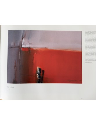 Livre Arthur Grosemans de Serge Goyens de Heusch. 1995