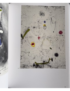 LIVRE MIRO GRAVEUR (4 volumes) Collection complète des quatre volumes du Catalogue de l'Oeuvre gravé de Joan Miró