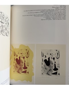 LIVRE MIRO GRAVEUR (4 volumes) Collection complète des quatre volumes du Catalogue de l'Oeuvre gravé de Joan Miró