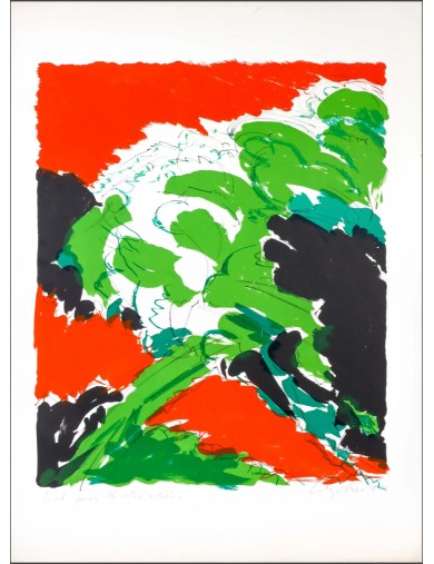 Lithographie couleur Verdure de Maurice Wyckaert