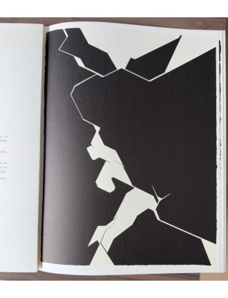 Derrière le Miroir n°207 - Cinq livre gravé. Paris, Maeght Éditeur, janv. 1974