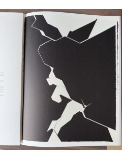 Derrière le Miroir n°207 - Cinq livre gravé. Paris, Maeght Éditeur, janv. 1974