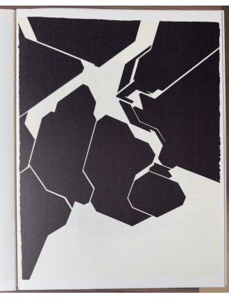 Derrière le Miroir n°207 - Cinq livre gravé. Paris, Maeght Éditeur, janv. 1974