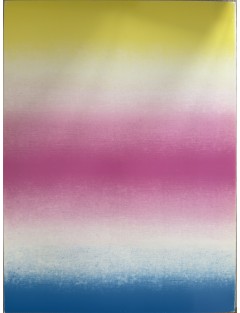 Derrière le miroir n°227. Monory. Janvier 1978. Editions Maeght.