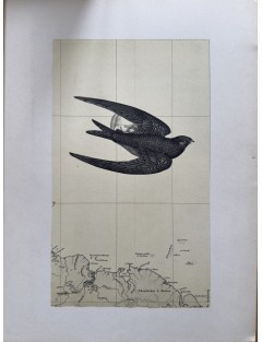 Derrière le miroir n°176. Le Yaouanc. Février 1969. Edition Maeght.