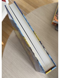 Livre Combas de Bernard Marcadé. Editions de la Différence 1991