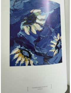 Livre Wim Ricourt. Edition Absolute Art Gallery. 2004