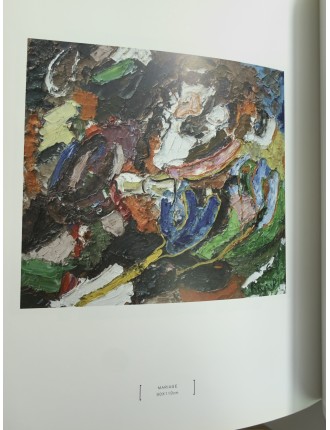 Livre Wim Ricourt. Edition Absolute Art Gallery. 2004