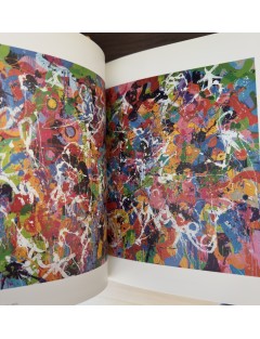 Livre JonOne. Fireworks. Galerie du Jour Agnès B. 2015