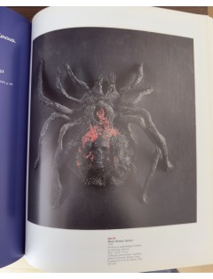 Livre Niki de Saint Phalle. Edition Réunion des Musées Nationaux. 2014.