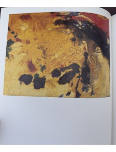 Livre Maurice Wyckaert de Freddy de Vree. Edition Lannoo. 1986