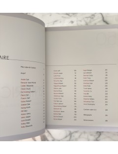 Livre 50 Géants de l’Art Américain. Comment NY à detroné l’Europe. Pierre Sterckx. Edition Beaux Arts Editions.
