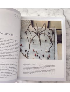 Livre 50 Géants de l’Art Américain. Comment NY à detroné l’Europe. Pierre Sterckx. Edition Beaux Arts Editions.
