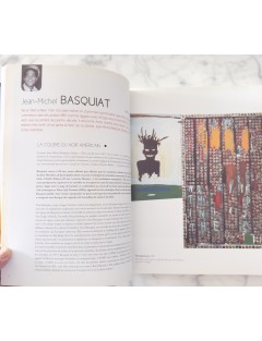 Livre 50 Géants de l’Art Américain. Comment NY à detroné l’Europe. Pierre Sterckx. Edition Beaux Arts Editions.