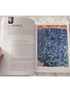 Livre 50 Géants de l’Art Américain. Comment NY à detroné l’Europe. Pierre Sterckx. Edition Beaux Arts Editions.