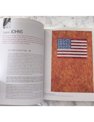 Livre 50 Géants de l’Art Américain. Comment NY à detroné l’Europe. Pierre Sterckx. Edition Beaux Arts Editions.