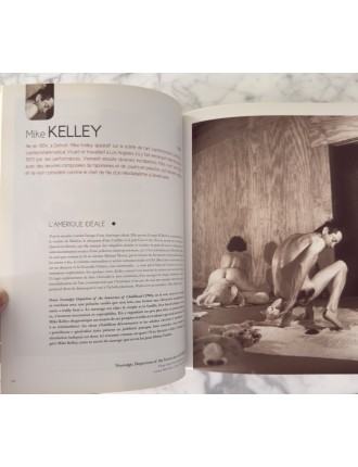 Livre 50 Géants de l’Art Américain. Comment NY à detroné l’Europe. Pierre Sterckx. Edition Beaux Arts Editions.