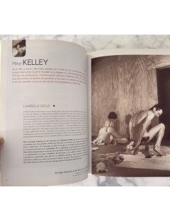 Livre 50 Géants de l’Art Américain. Comment NY à detroné l’Europe. Pierre Sterckx. Edition Beaux Arts Editions.