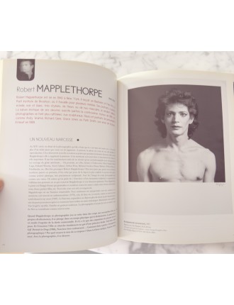 Livre 50 Géants de l’Art Américain. Comment NY à detroné l’Europe. Pierre Sterckx. Edition Beaux Arts Editions.