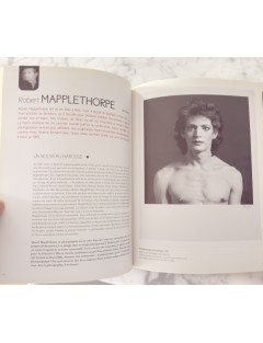 Livre 50 Géants de l’Art Américain. Comment NY à detroné l’Europe. Pierre Sterckx. Edition Beaux Arts Editions.