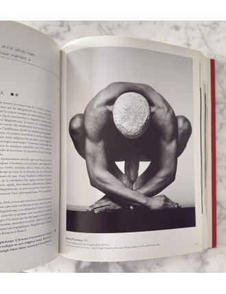Livre 50 Géants de l’Art Américain. Comment NY à detroné l’Europe. Pierre Sterckx. Edition Beaux Arts Editions.
