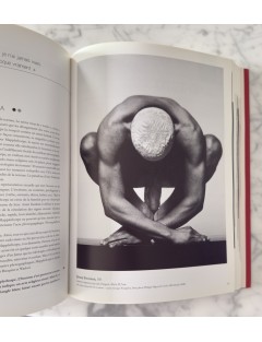Livre 50 Géants de l’Art Américain. Comment NY à detroné l’Europe. Pierre Sterckx. Edition Beaux Arts Editions.