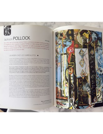 Livre 50 Géants de l’Art Américain. Comment NY à detroné l’Europe. Pierre Sterckx. Edition Beaux Arts Editions.