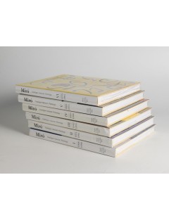 Livre MIRÓ Peintures. Catalogue raisonné en 6 volumes des peintures de Joan MIRÓ