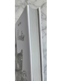 Livre Philippe Pasqua. Paradise. Edition Skira. 2010. David Rosenberg.